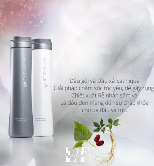 Trị gàu